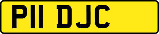 P11DJC