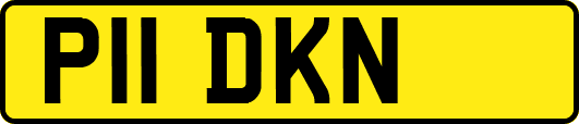P11DKN