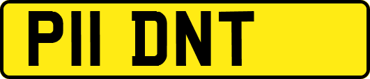 P11DNT