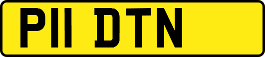 P11DTN