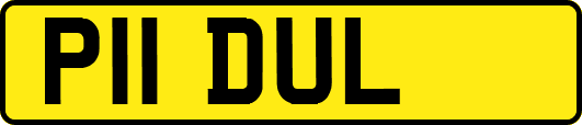 P11DUL