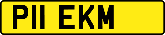 P11EKM