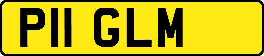 P11GLM