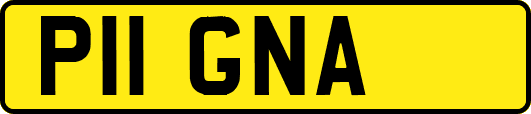 P11GNA