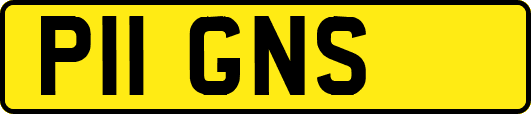 P11GNS