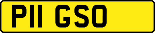 P11GSO