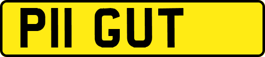 P11GUT