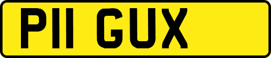 P11GUX