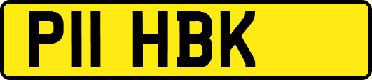 P11HBK