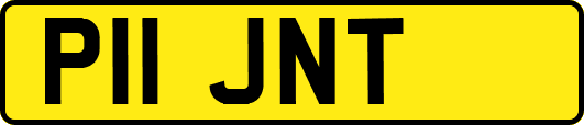 P11JNT
