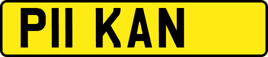 P11KAN