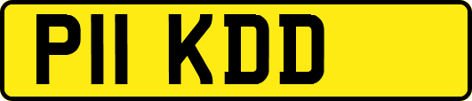 P11KDD