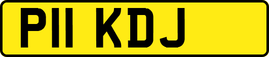 P11KDJ