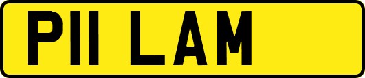 P11LAM