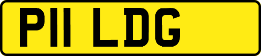 P11LDG