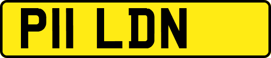 P11LDN