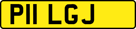 P11LGJ