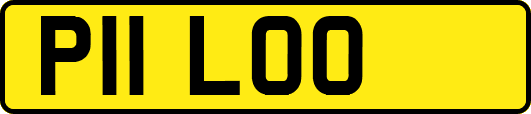 P11LOO