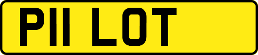 P11LOT