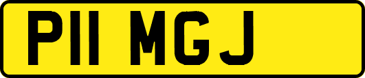 P11MGJ