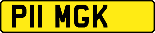P11MGK