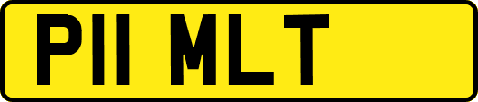 P11MLT