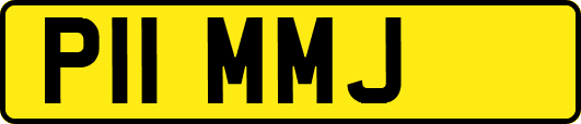 P11MMJ