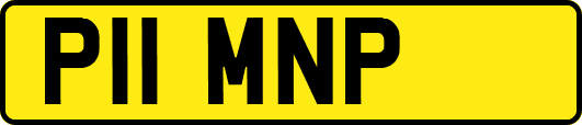 P11MNP