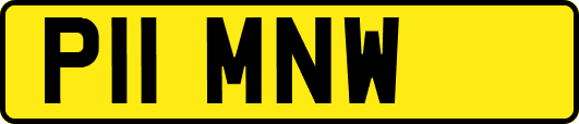 P11MNW