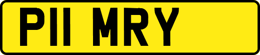 P11MRY