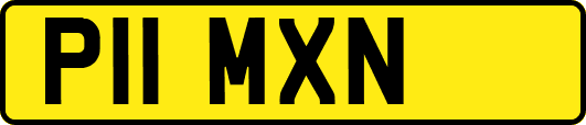 P11MXN