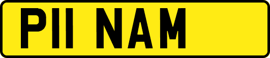 P11NAM