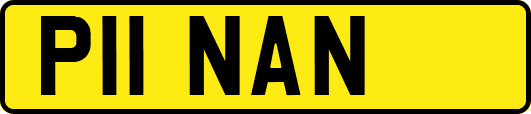 P11NAN