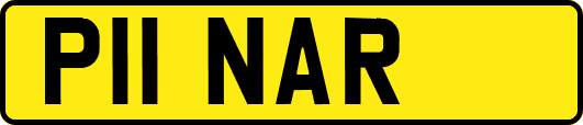 P11NAR