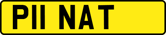 P11NAT