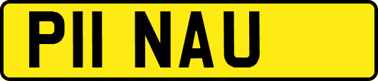 P11NAU