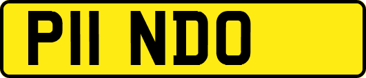 P11NDO