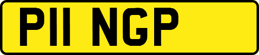 P11NGP