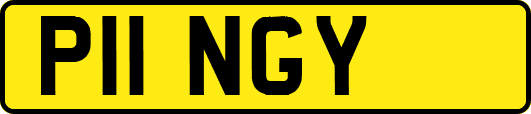 P11NGY