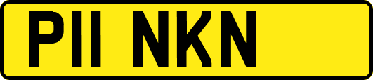 P11NKN