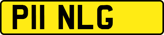 P11NLG