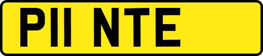 P11NTE