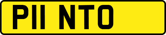 P11NTO