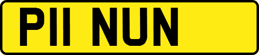 P11NUN
