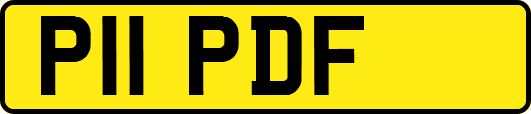 P11PDF