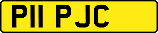 P11PJC