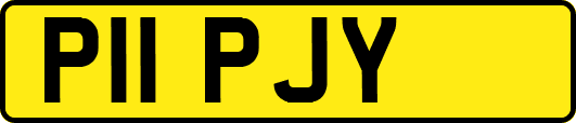 P11PJY