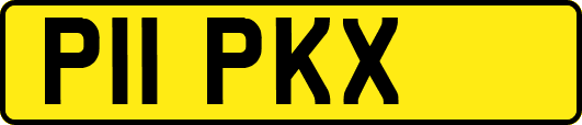 P11PKX