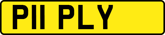 P11PLY