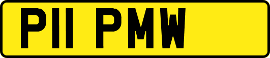 P11PMW